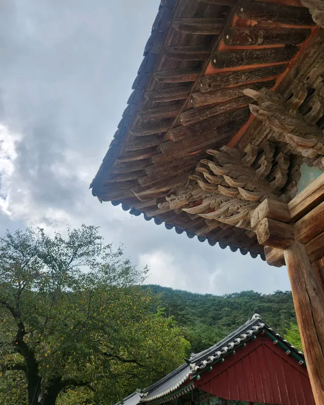 내소사의 아름다운 처마와 하늘