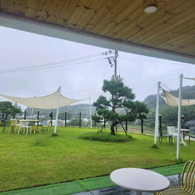 카페 외부 잔디밭 풍경