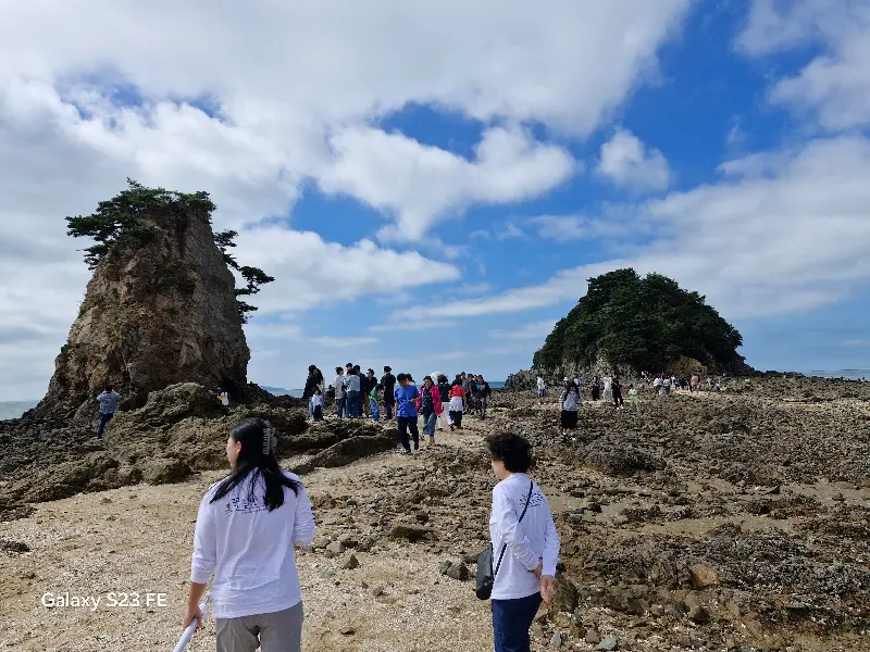 리정원의 아늑한 내부 인테리어
