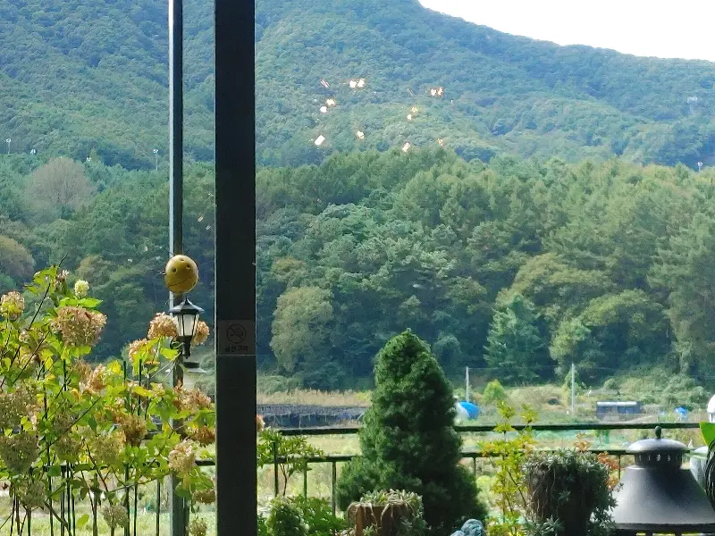 다양한 종류의 차