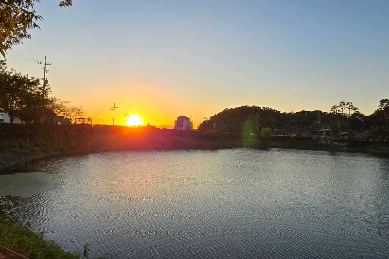 알리스타에서 판매하는 다양한 음료