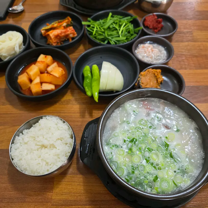 늘 변함없이 맛있는 다온돼지국밥