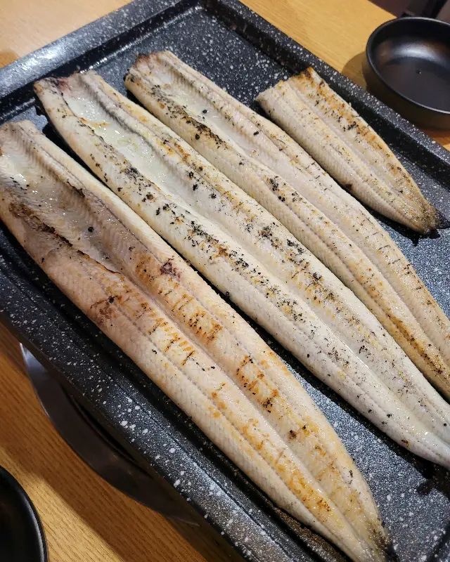 가지런히 놓인 장어