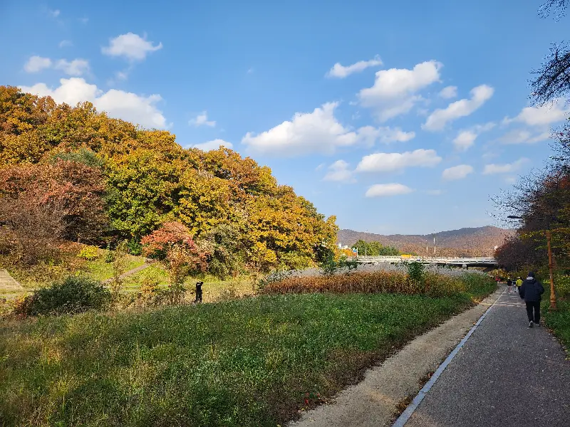 맛깔스러운 제육볶음