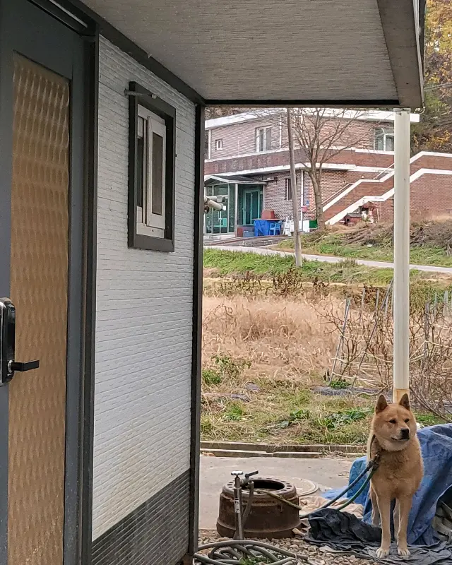 복돈가 외부 전경