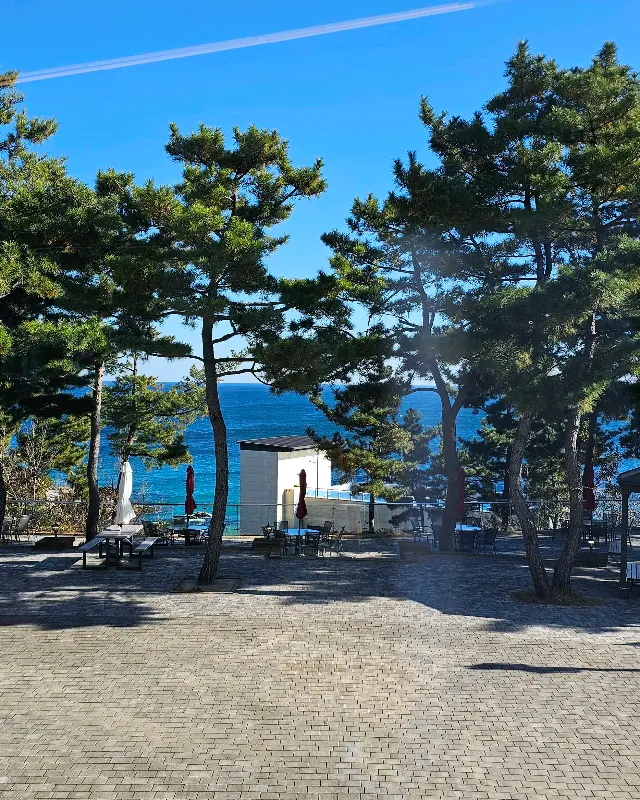 카페에서 보이는 바다 전경