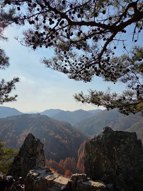 돌아오는 길에 바라본 아름다운 산 풍경