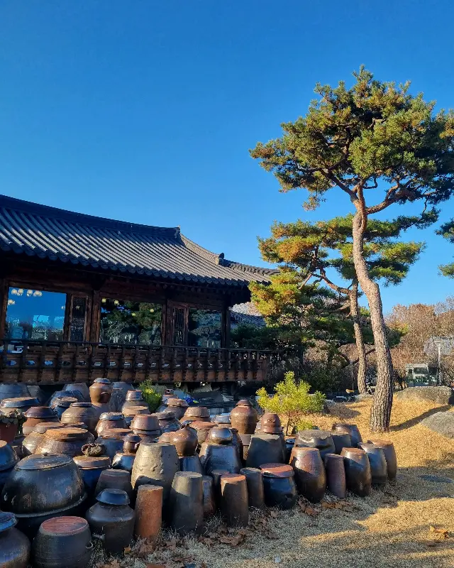 장독대가 늘어선 너른마당의 풍경