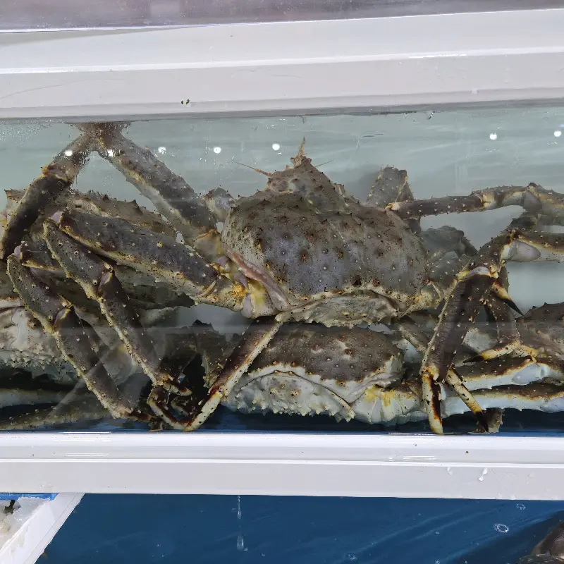 수족관 속 대게