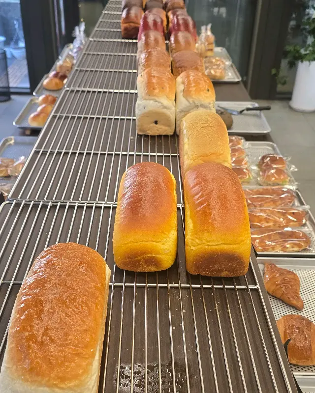 갓 구워져 나온 식빵들