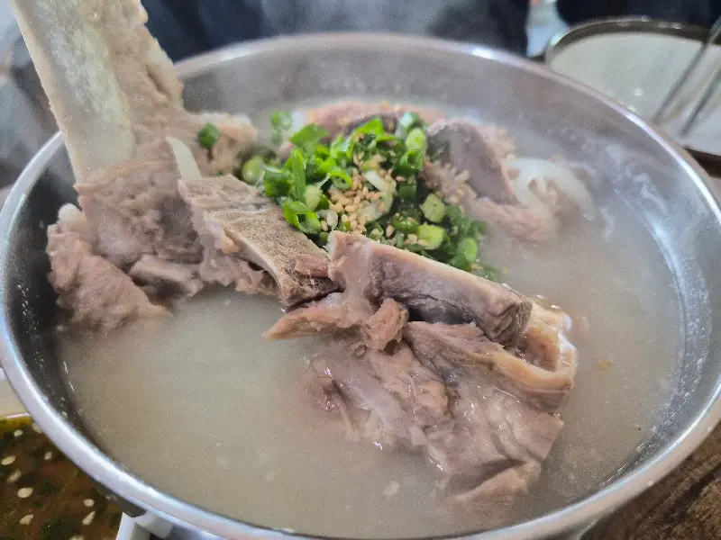 뽀얀 국물의 접짝뼈국