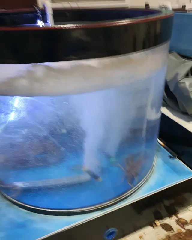 싱싱한 활어가 가득한 수조