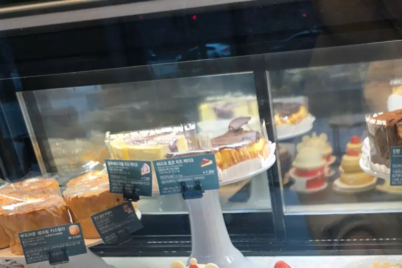 스타벅스 케이크 쇼케이스