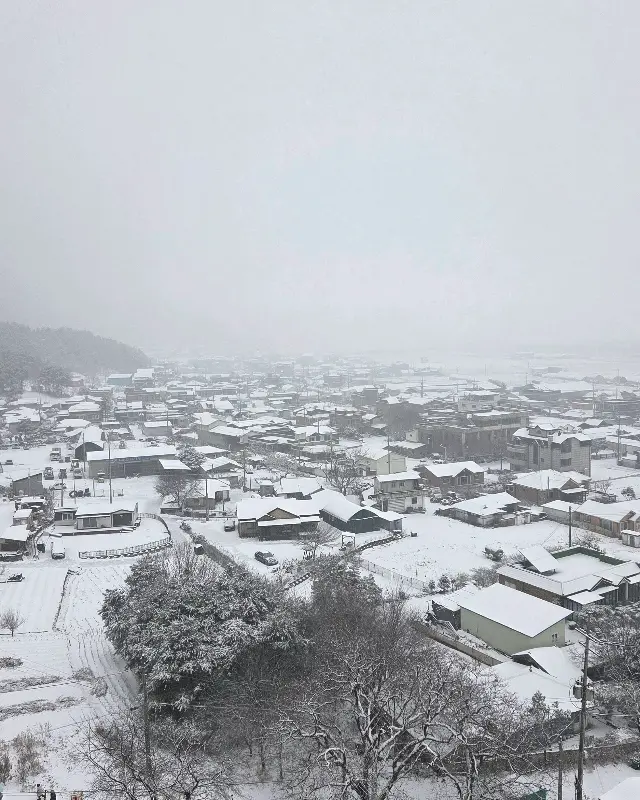 눈 내리는 철원 풍경