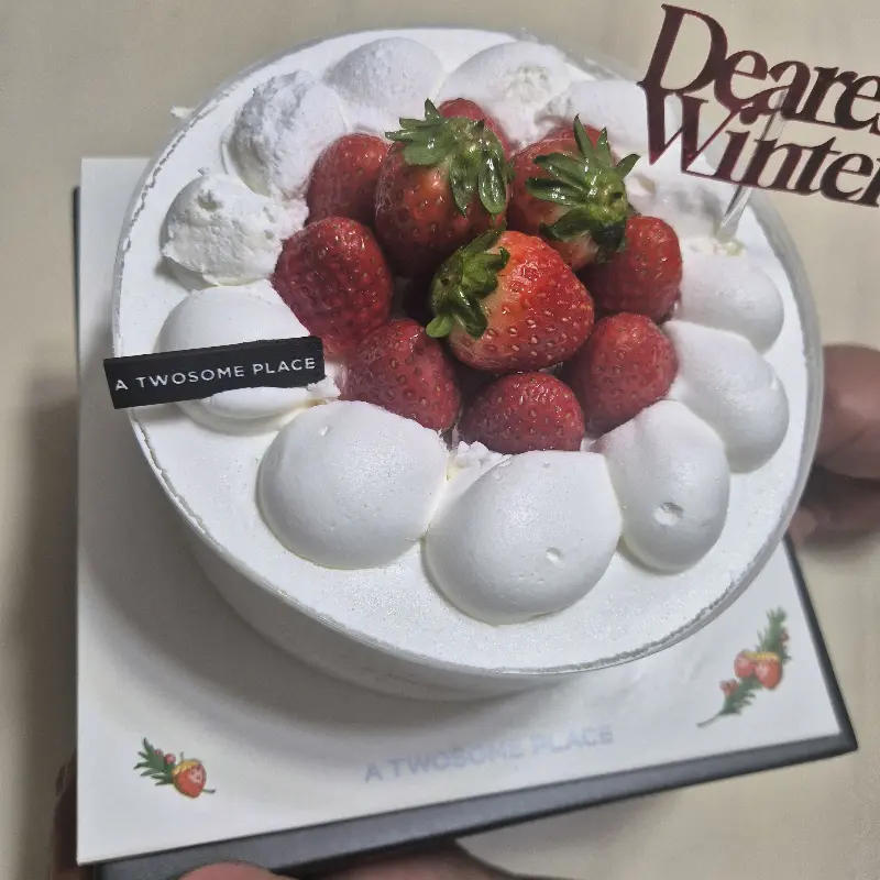 딸기가 듬뿍 올라간 스트로베리 초콜릿 생크림 케이크