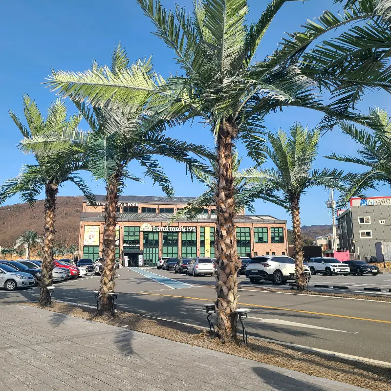 넓은 주차장과 야자수가 인상적인 랜드마크195의 외관