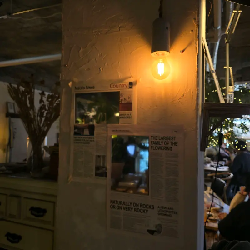 카페 내부 벽면 장식