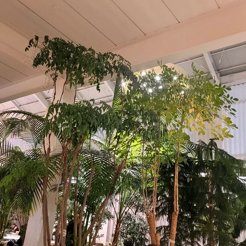카페 내부 식물 장식
