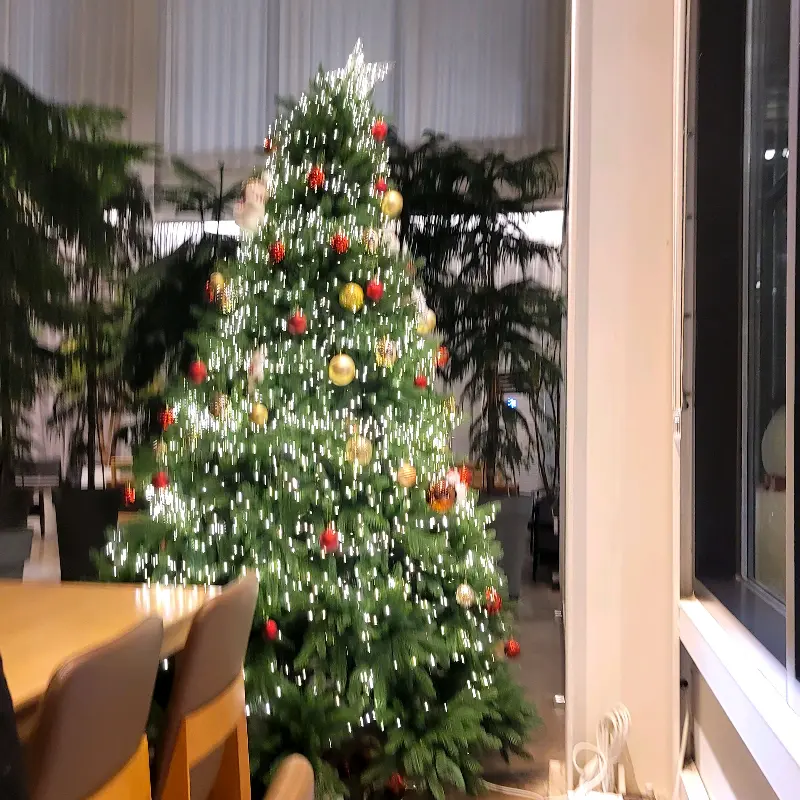 카페 내부 크리스마스 트리