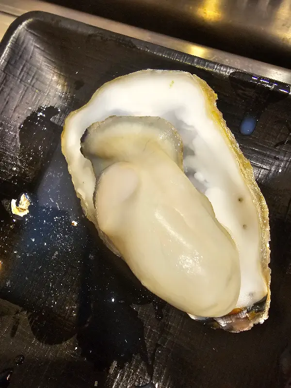 싱싱한 굴의 모습