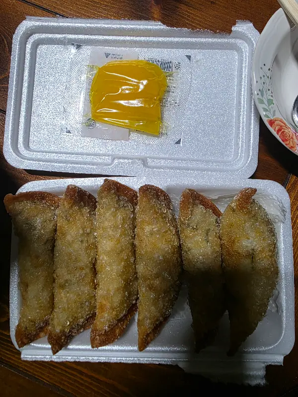 포장해온 튀김만두