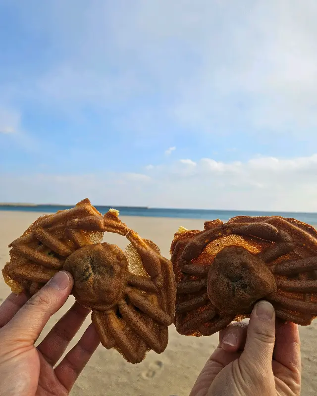 해변을 배경으로 한 대게빵