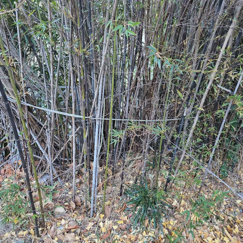 카페 주변 풍경