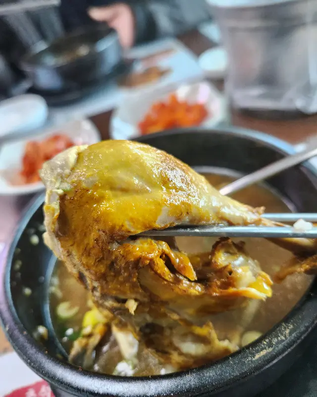 젓가락으로 든 닭다리 살이 부드럽게 찢어지는 모습