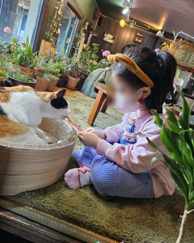 고양이와 교감하는 아이