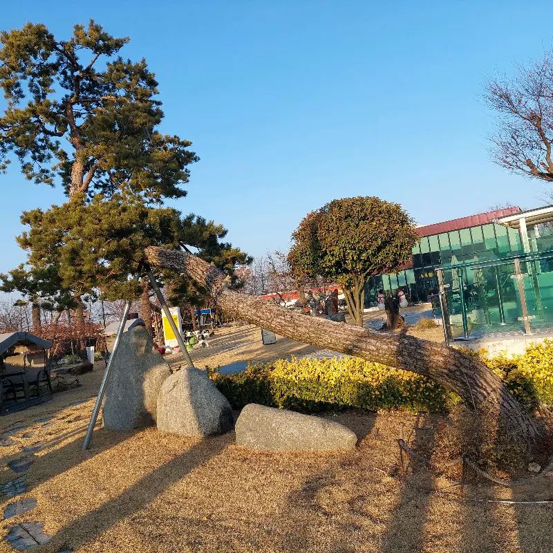 디트레인 빵 진열대