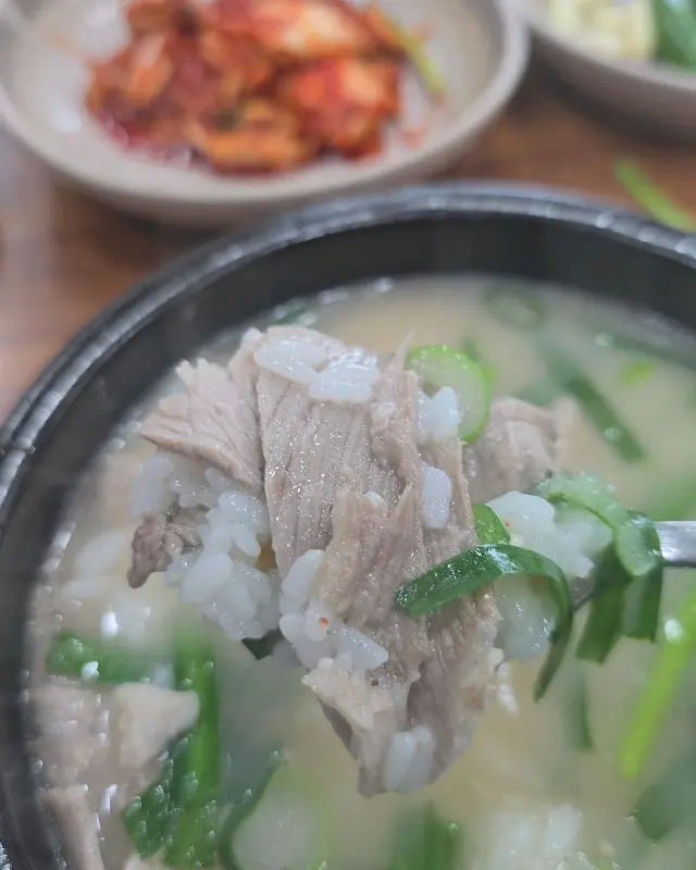 숟가락 위의 돼지고기