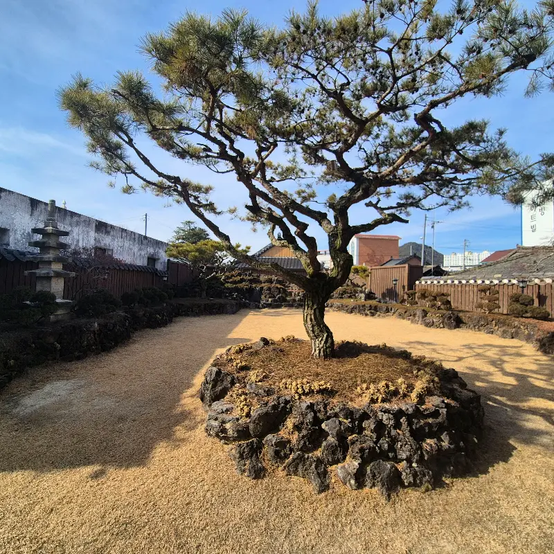 다양한 종류의 빵