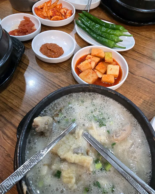 뚝배기 안에서 보글보글 끓고 있는 삼계탕