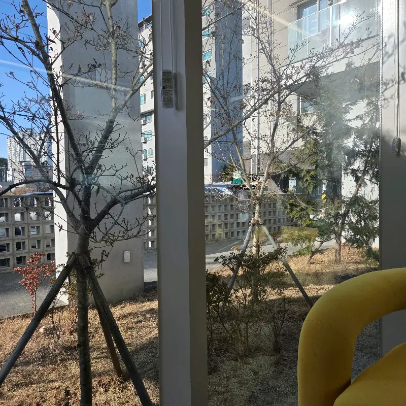 카페 창밖 풍경