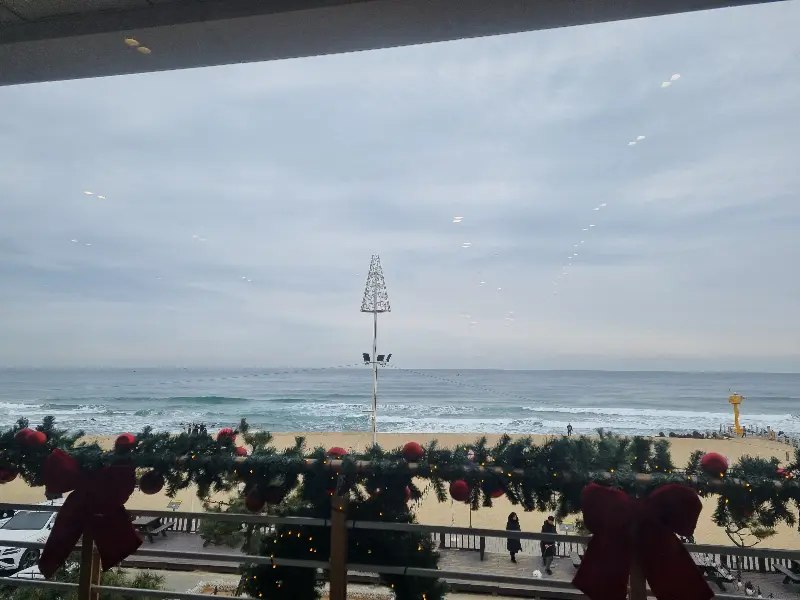 카페 내부에서 바라본 강문해변 풍경