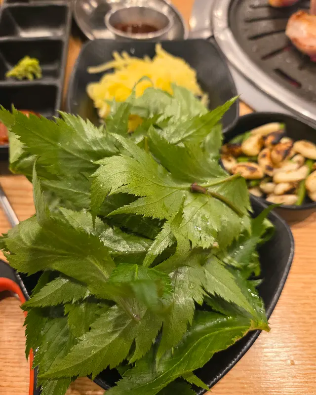 싱싱한 쌈 채소