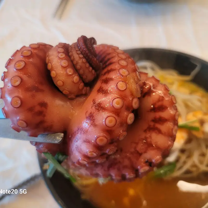 문어의 쫄깃한 식감이 일품