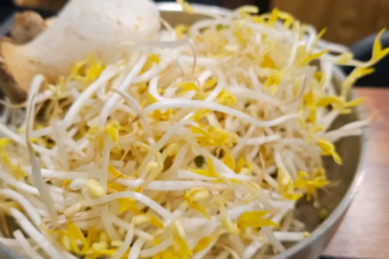 소고기와 곁들여 먹기 좋은 숙주