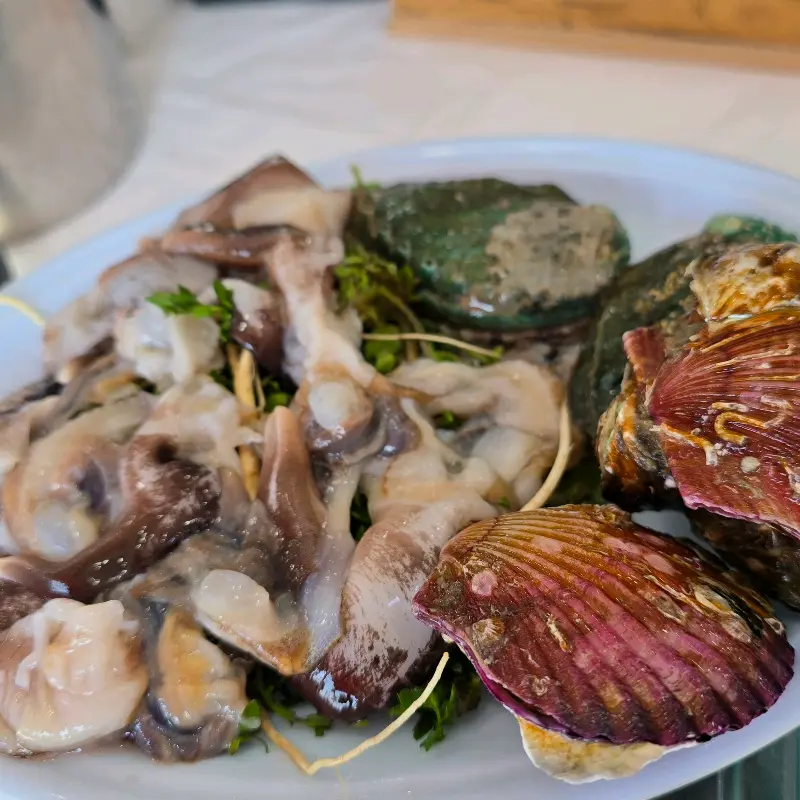 싱싱한 해산물 모듬