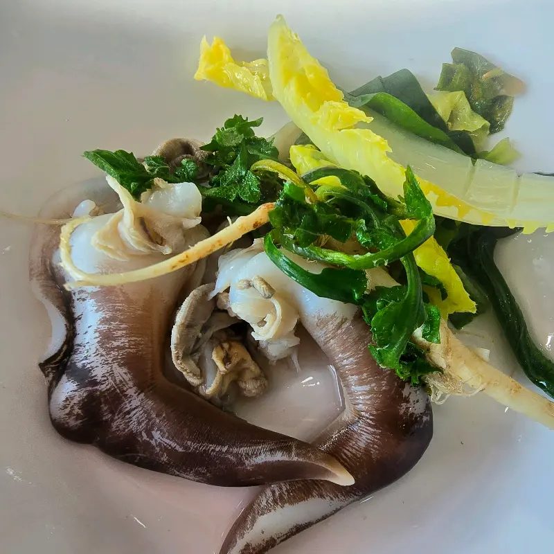 신선한 새조개의 모습