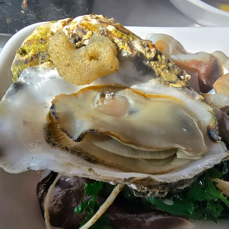 싱싱한 석화의 모습