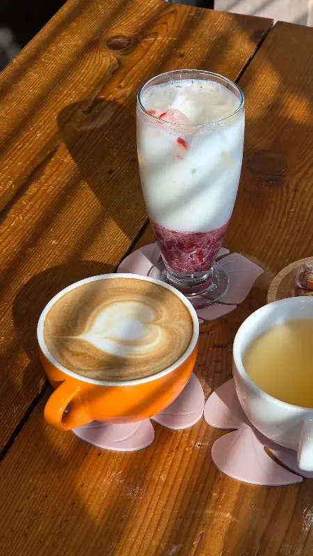 따스한 햇살 아래 놓인 음료