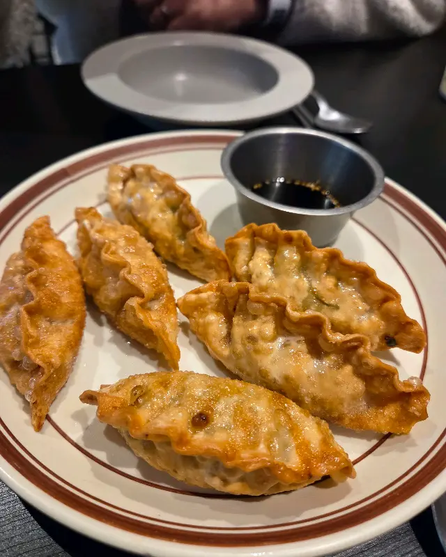 노릇노릇 구워진 만두