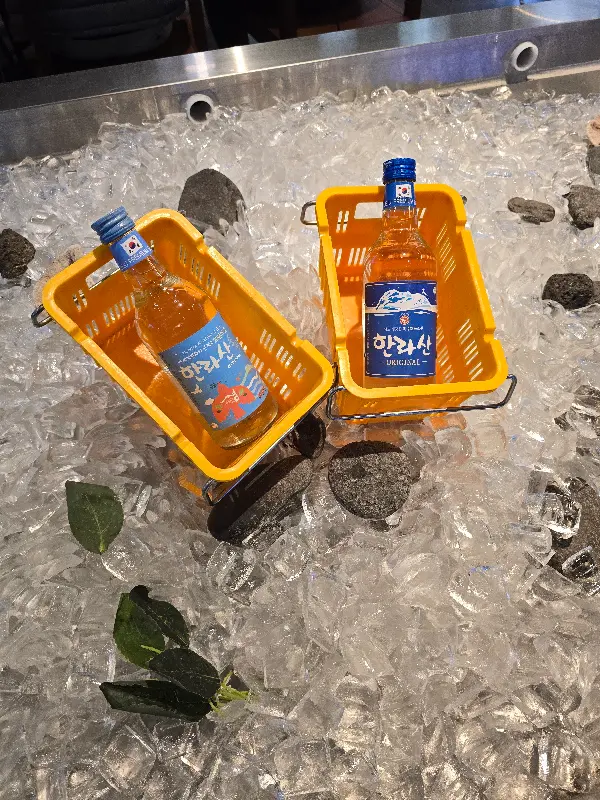 시원한 한라산 소주