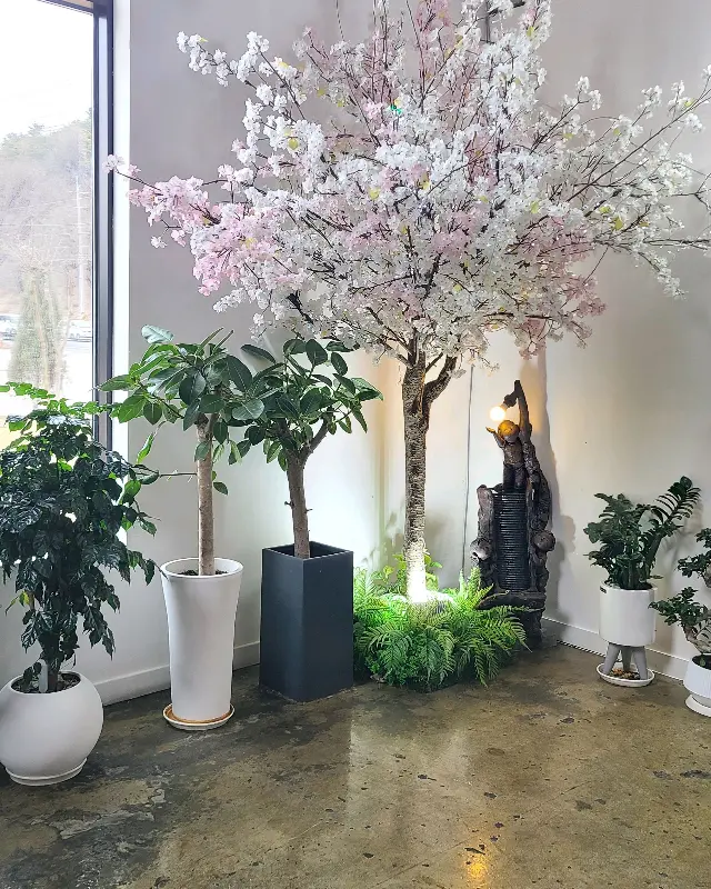 카페 내부에 꾸며진 플랜테리어