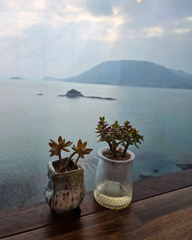 창가에 놓인 작은 화분과 푸른 바다