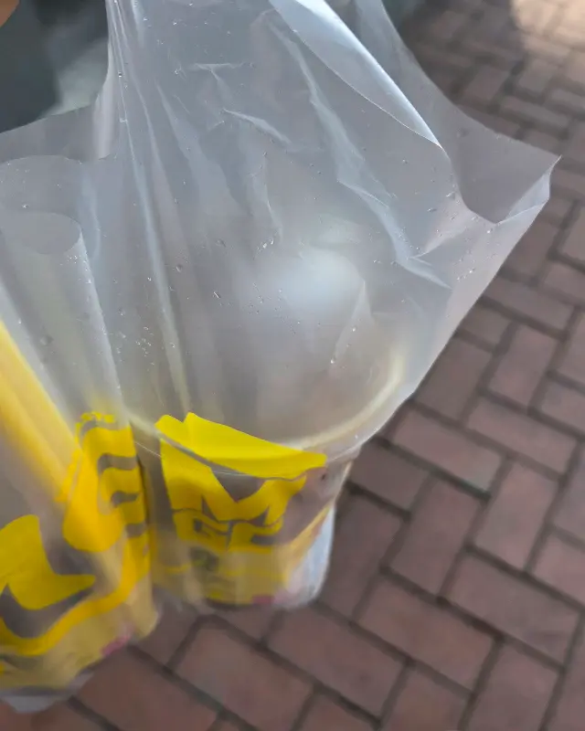 테이크 아웃 봉투