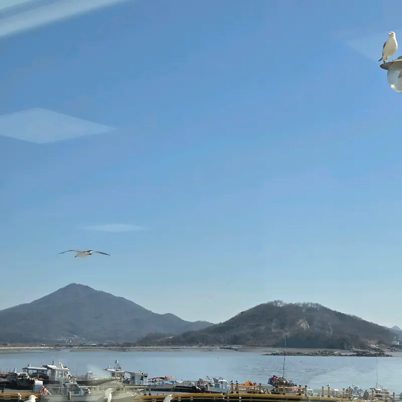 외포리항의 아름다운 풍경