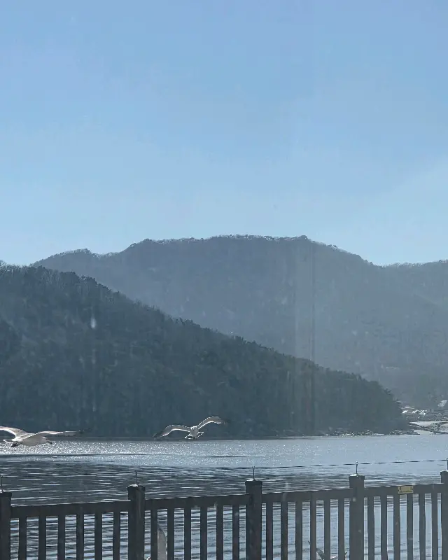 갈매기가 나는 강화도 바다