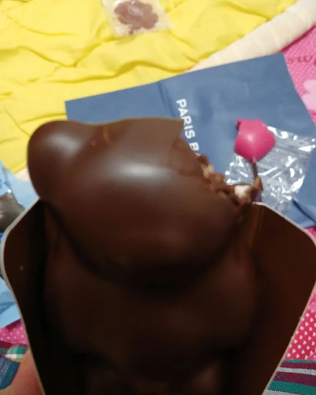 먹다 남은 곰돌이 초콜릿